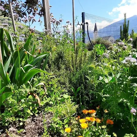 Affittacamere Petit Pré 3*