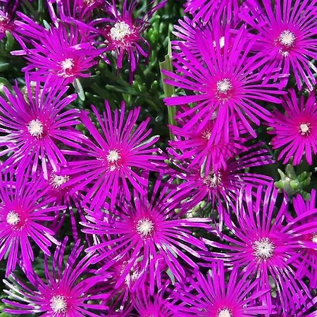 بيت ضيافة Petit Pre Saint-Léonard