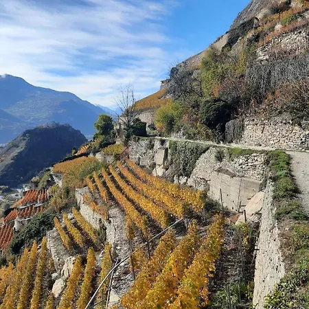 Petit Pré Pensión 3*